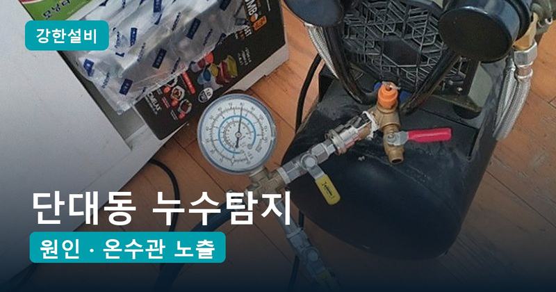 단대동 누수탐지 | 온수를 잠그면 멈추는 아랫집 주방 누수, 굳어서 갈라진 온수관이 원인